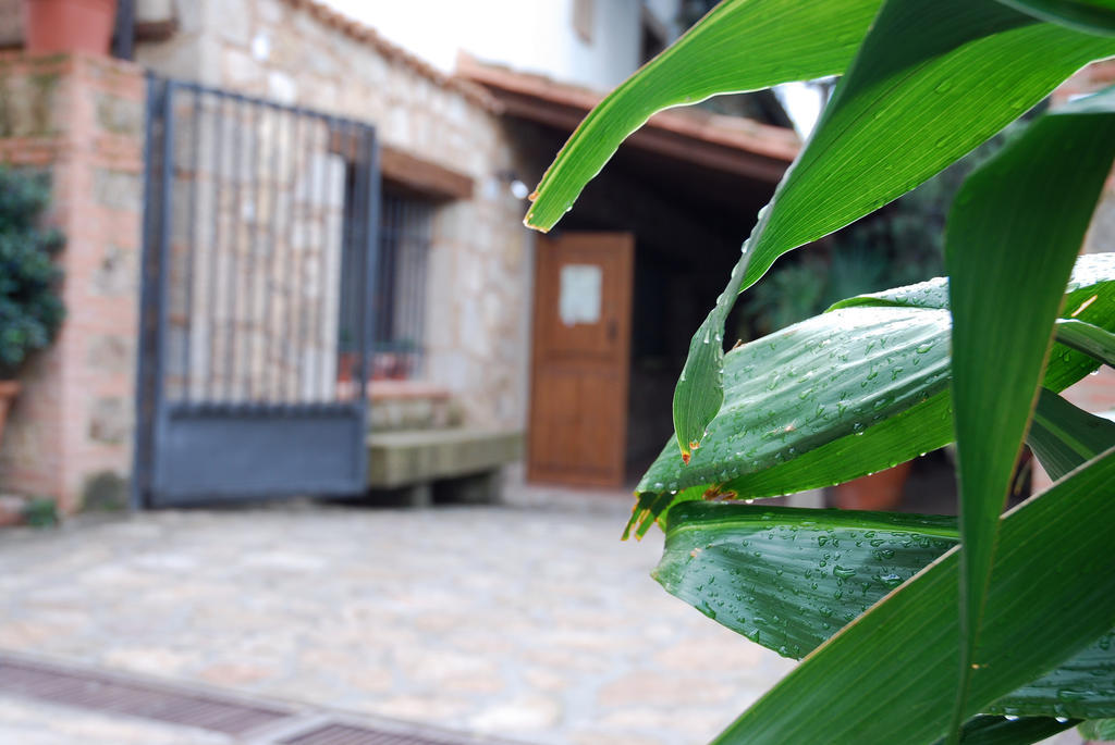 Hostal El Cardenillo マドリガル・デ・ラ・ベラ エクステリア 写真